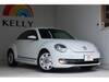 VOLKSWAGEN THE BEETLE