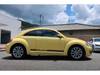 VOLKSWAGEN THE BEETLE