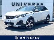 2019 PEUGEOT 3008