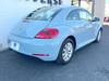 VOLKSWAGEN THE BEETLE