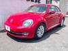 VOLKSWAGEN THE BEETLE