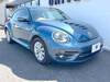 VOLKSWAGEN THE BEETLE