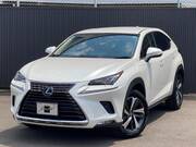 2018 LEXUS NX