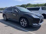 2022 LEXUS RX