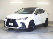2024 LEXUS NX