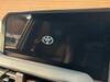 TOYOTA LANDCRUISER 250