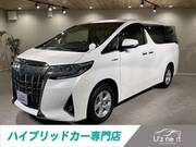 2019 TOYOTA ALPHARD