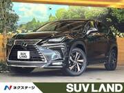 2019 LEXUS NX