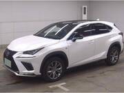 2019 LEXUS NX