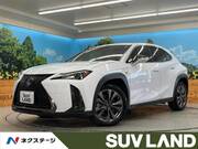 2021 LEXUS UX