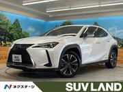 2019 LEXUS UX