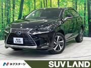 2018 LEXUS NX