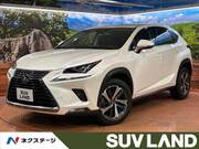2020 LEXUS NX