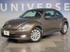 VOLKSWAGEN THE BEETLE