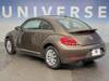 VOLKSWAGEN THE BEETLE