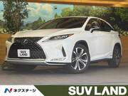 2019 LEXUS RX