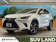 2018 LEXUS NX