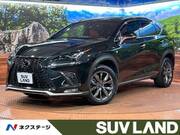 2018 LEXUS NX