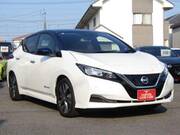 2018 NISSAN LEAF