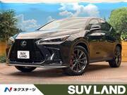 2024 LEXUS NX