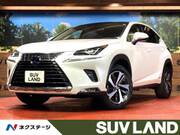 2019 LEXUS NX