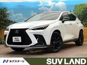 2023 LEXUS NX