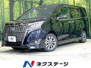 2019 TOYOTA ESQUIRE