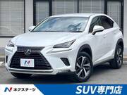 2020 LEXUS NX