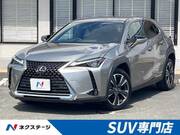 2019 LEXUS UX