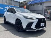 2024 LEXUS NX