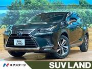 2018 LEXUS NX
