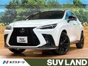 2023 LEXUS NX