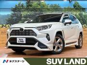 2019 TOYOTA RAV4 G