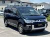 MITSUBISHI OTHER