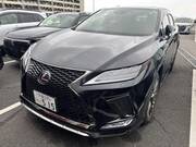 2019 LEXUS RX