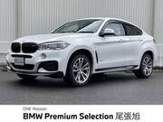 2018 BMW X6