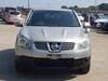 NISSAN DUALIS