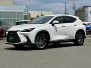 2024 LEXUS NX