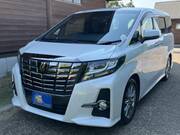 2017 TOYOTA ALPHARD