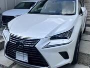 2019 LEXUS NX