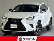 2020 LEXUS NX