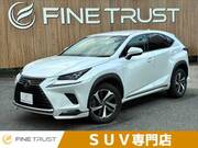 2018 LEXUS NX