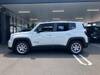 CHRYSLER JEEP RENEGADE