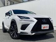 2020 LEXUS NX