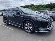2022 LEXUS RX