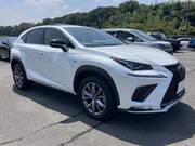 2020 LEXUS NX