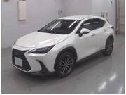 2022 LEXUS NX