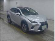 2019 LEXUS NX