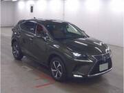 2021 LEXUS NX