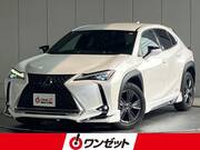 2020 LEXUS UX